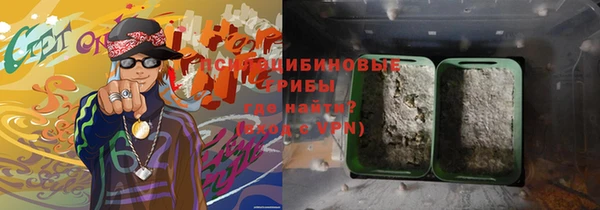 СК Верхний Тагил