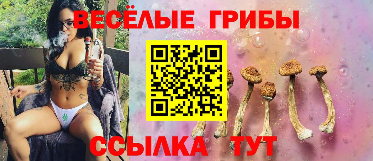 купить   Вход с VPN  Апатиты  Псилоцибиновые грибы GOLDEN TEACHER  Галлюциногенные грибы Psilocybine cubensis 