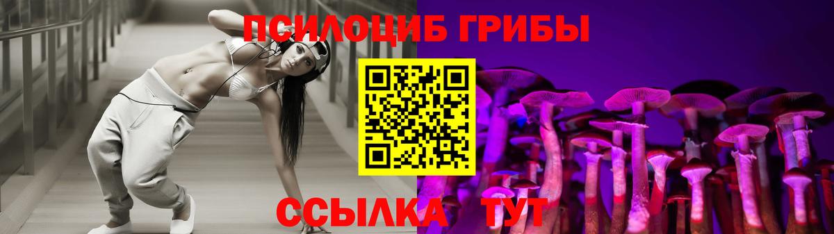 Галлюциногенные грибы Psilocybe  Апатиты 